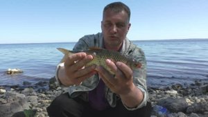 НАСАДКА ПОД НОГАМИ. КАКАЯ РЫБА КЛЮЕТ В ЖАРУ. ПОЛНОЕ ВЕДРО РЫБЫ С БЕРЕГА