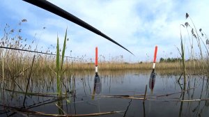 КАРАСИНЫЙ РАЙ ПОСЛЕ МАЙСКИХ! ЛОВИМ НА ПОПЛАВОК В ТРОСТНИКЕ С ЛОДКИ!