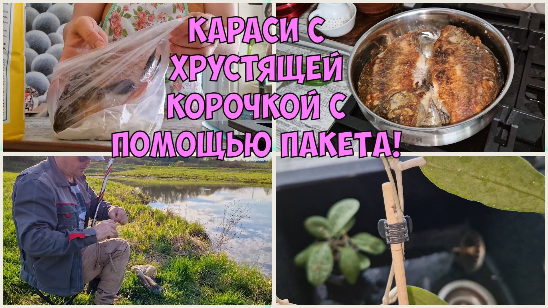 Танюшка в строю! Жареные КАРАСИ. ХОЙЯ малышка приятно порадовала! Рыбалка 👫🐠 🐟