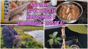 Танюшка в строю! Жареные КАРАСИ. ХОЙЯ малышка приятно порадовала! Рыбалка 👫🐠 🐟