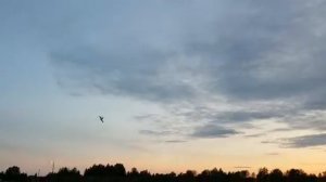 Полёты