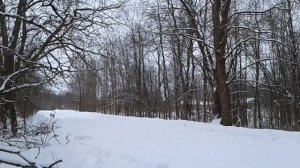 Бежим рысью🐎скачем галопом🐎идём шагом.