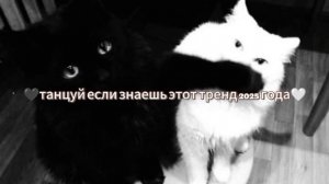 🖤Танцуй если знаешь этот тренд 2025 года🤍