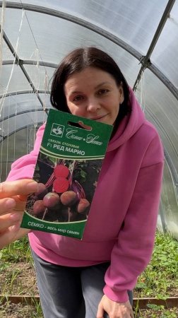 397. Каждый год сею свеклу на ранний урожай