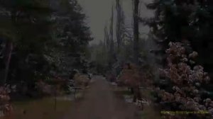 Позвольте Богу войти в вашу жизнь и увидите как всё изменится! Благословенная молитва для начала Дня