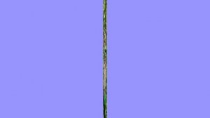 Мы уже пенсионеры..... 28.05.25. от Екатерины Наумовой