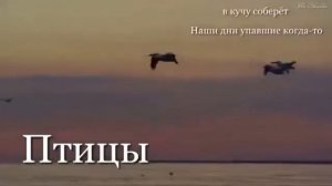 1000030925.mp4Птицы 🦅Аркадий Кобяков