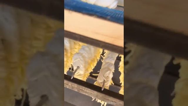 Первые 50 кг своего сыра из цельного молока смотреть онлайн