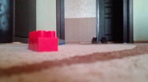Новогоднее разнообразие поездов на ст. Сайга. Январь 2025г.