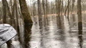 Прогулка AQUA MARINA STEAM 412