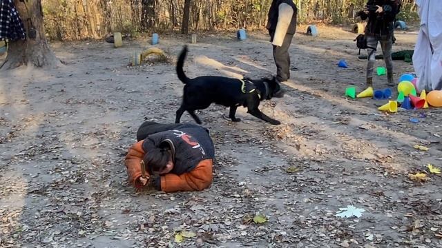 "Трещетка" после Колизея смотреть онлайн