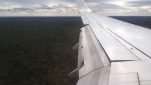 Посадка в Домодедово Boeing 737-800 авиакомпании S7 airlines (Рей?