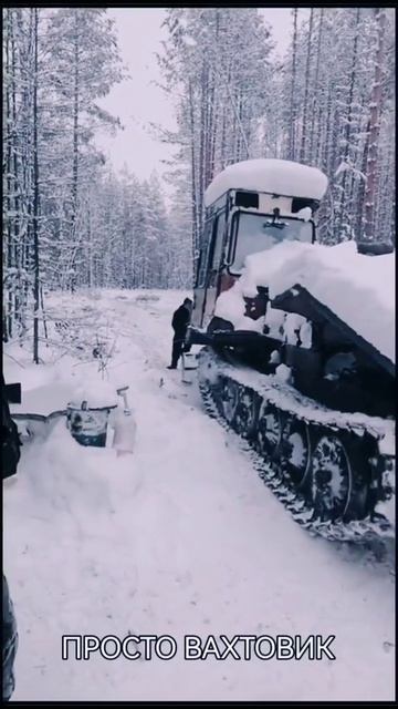 Лесозаготовка, трактор