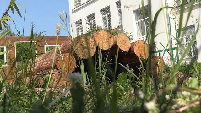 Зеленый уголок созданный школьниками разрушают ванд