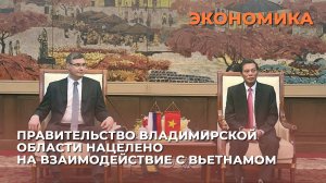 Правительство Владимирской области нацелено на взаимодействие с Вьетнамом