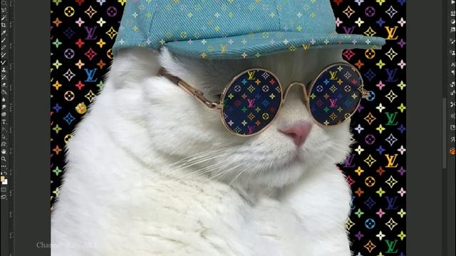 КРУТОЙ БЕЛЫЙ КОТ | White Cat