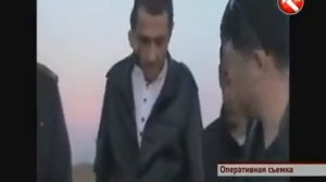 В Астане девушка несколько суток хранила в спальне ос?