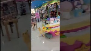 г. Хуньчунь 2024 г. Корейский ТЦ , развлечения для детей