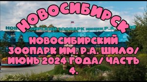 Новосибирский зоопарк имени Р.А. Шило. Июнь 2024 года. Часть 4.