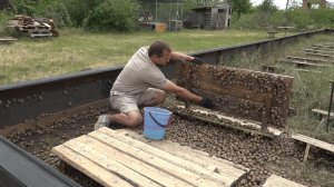 Улитки - в Сальских степях: как сальский фермер взялся за необычный вид деятельности