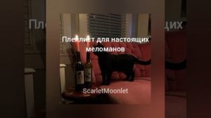 Плейлист для настоящих меломанов | Песни без мата