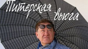 Перелыгин - Питерская вьюга
