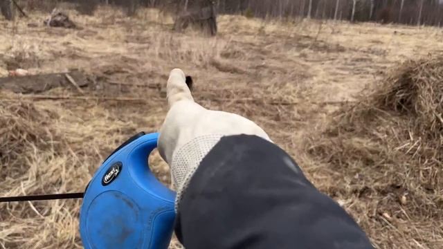 Делаем ремонт своими руками в 60-летнем доме: ЗАКОНЧИЛИ смотреть онлайн