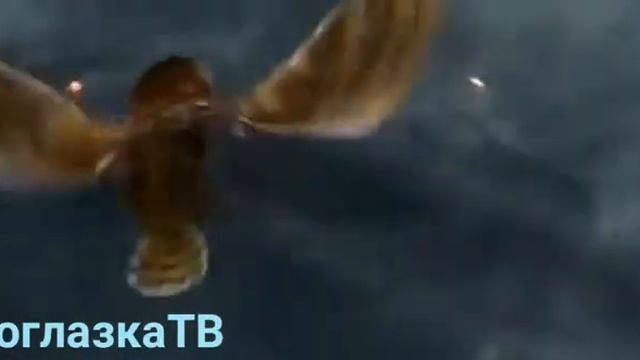 Легенды ночных страж смотреть онлайн