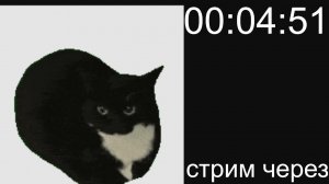 играю в игры и отвечаю на вопросы