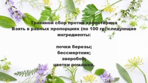 Травы для чистки сосудов в домашних условиях