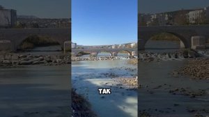 ПЕРЕЗИМОВАТЬ за РУБЕЖОМ или остаться ДОМА?