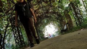 Аллея из Дикого Винограда - Фотографируюсь