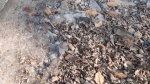 Что будет если вылить кислоту из аккумулятора!