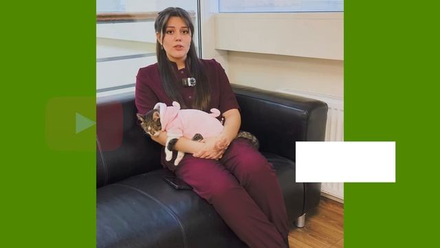 Нужно ли кошке молоко?