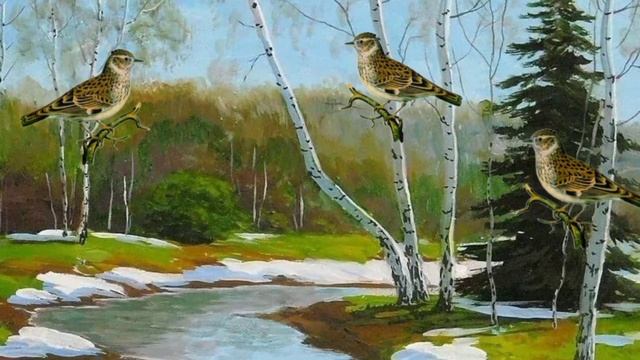 Дидактична гра "Скажи далі" смотреть онлайн