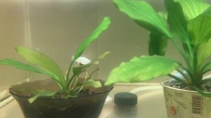 video_2025-05-28_11-41-01