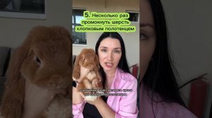 Можно ли мыть кролика?