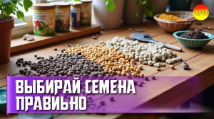 Секреты богатого урожая: Как выбрать и подготовить семена правильно!