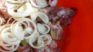 Быстрый маринад для шашлыка