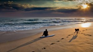 Сергей Воронин - ЖИЗНЬ. Барнаул, 2025 год