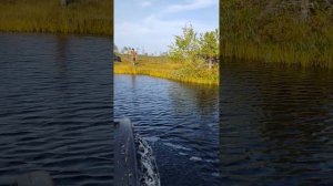 Вездеход Литл на воде вдвоем, выход на берег.