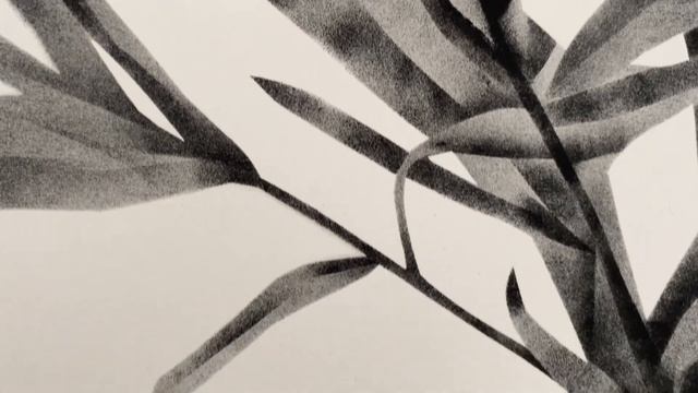 Графика оригинал «Растительный портрет», А4, картина смотреть онлайн