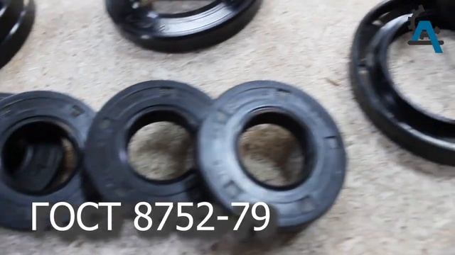 Что такое Сальник? смотреть онлайн