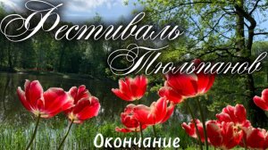 Фестиваль тюльпанов на Елагином острове Санкт-Петербурга. Окончание