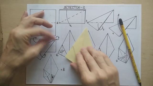 База КНИЖКА. Лепесток 2 смотреть онлайн