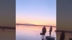 В Магадане — селёдочный бум: рыбу ловят руками, вёдрами и сачками