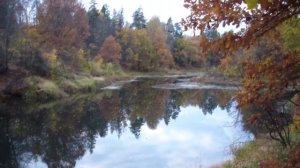 Керженец-2024. Поход выходного дня. Золотая осень.