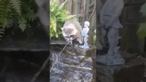 Доброта спасёт мир