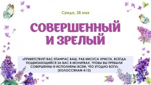 Совершенный и зрелый