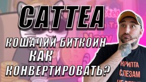 НОВЫЕ ФУНКЦИИ В CATTEA❗ДОНАТЫ И ЛУДОМАНИЯ ОТ CATIZEN❗ #cattea #catizen